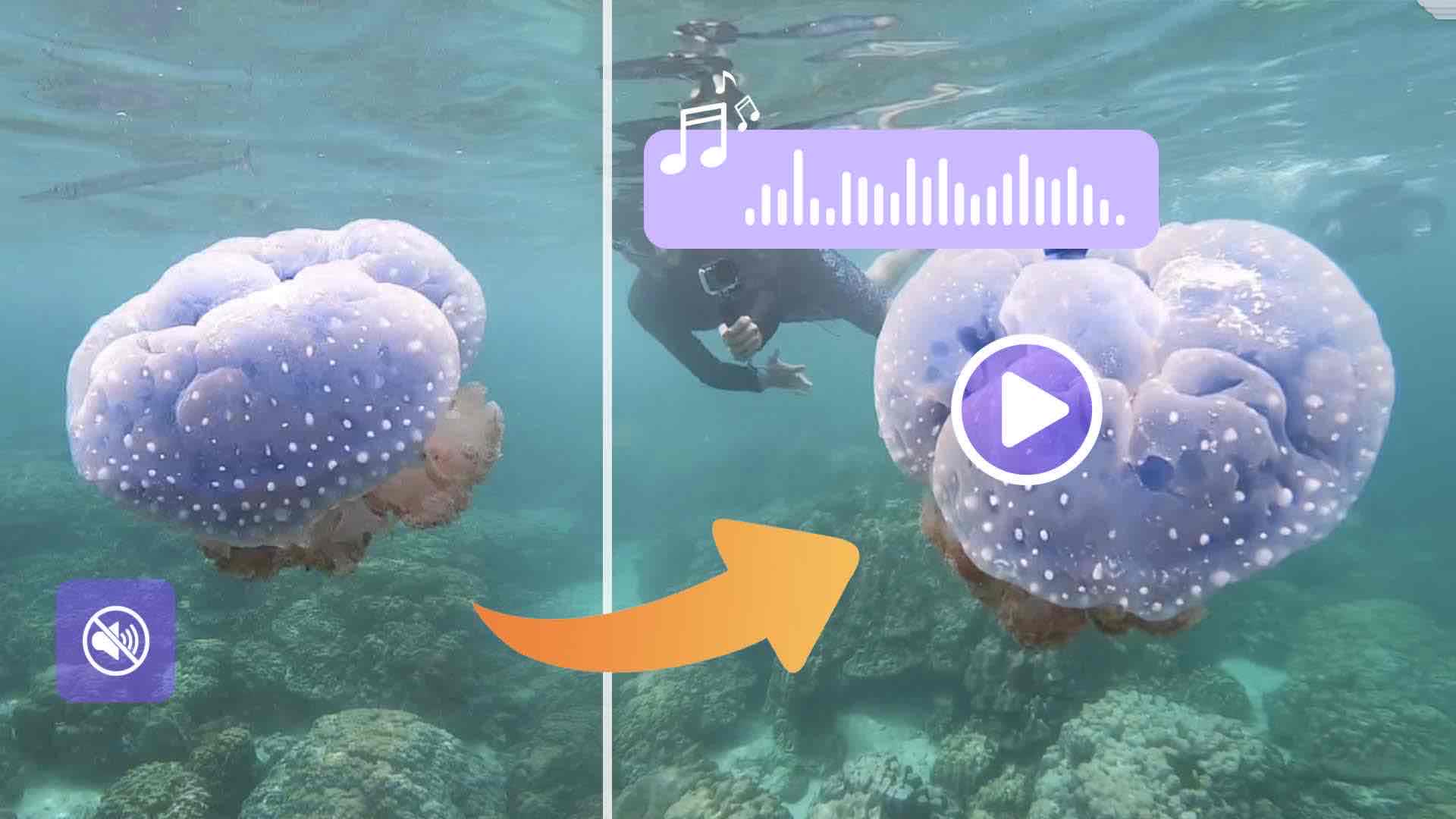 Video to Audio AI Generator